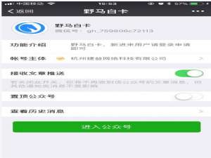 经验分享在野马白卡中进行借款的详细步骤。