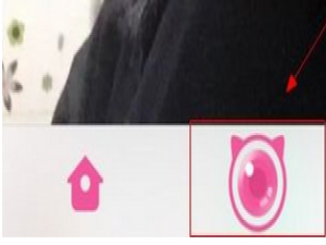 经验分享百合直播APP中开直播的详细流程介绍。
