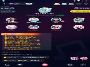 经验分享TT语音使用的方法介绍。