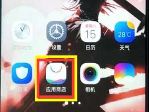 经验分享在vivoz1里安装软件的操作过程。