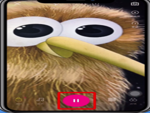 经验分享微视APP制作出四宫格特效的详细步骤。