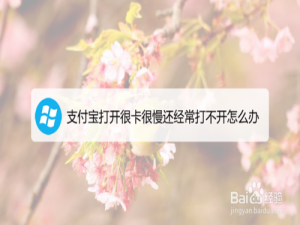 经验分享支付宝打开很卡很慢经常打不开怎么回事。