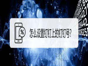 经验分享如何设置钉钉上的钉钉号。