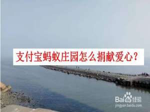 经验分享支付宝蚂蚁庄园如何捐献爱心。