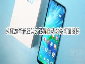 经验分享荣耀20青春版如何设置自动对齐桌面图标。