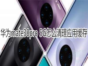 经验分享mate30pro 5G版如何清理应用缓存。