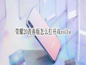 经验分享荣耀20青春版如何打开双volte。