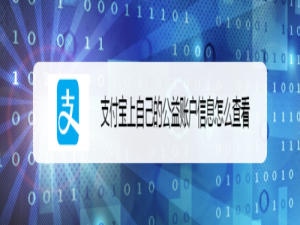 经验分享支付宝上自己的公益账户信息如何查看。