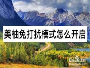 经验分享美柚免打扰模式如何开启。