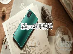 经验分享坚果pro3怎么打开呼吸灯。