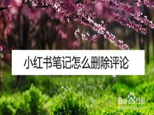 经验分享小红书笔记如何删除评论。