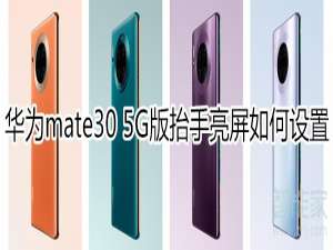 经验分享mate30 5G版抬手亮屏怎么设置。
