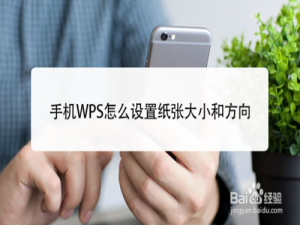 经验分享手机WPS如何设置纸张大小和方向。