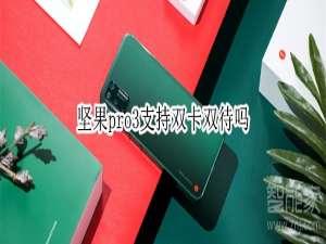 经验分享坚果pro3可以双卡双待吗。