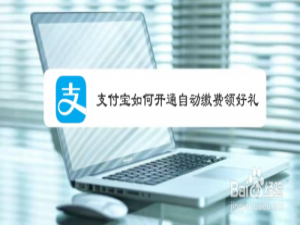 经验分享支付宝怎么开通自动缴费领好礼。