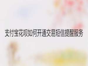 经验分享支付宝花呗怎么开通交易短信提醒服务。