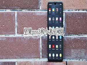 经验分享坚果pro3和小米9有什么区别。
