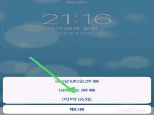 经验分享iphone11怎么设置动态壁纸。