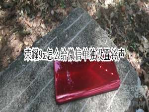 经验分享荣耀9x如何给微信单独设置铃声。