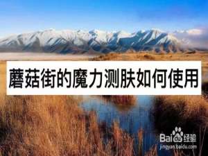 经验分享蘑菇街的魔力测肤怎么使用。