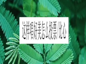 经验分享这样唱好美如何投票和比心。