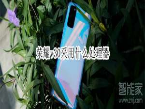 经验分享荣耀v30使用什么处理器。