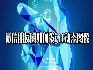 经验分享微信朋友圈怎么发动图。