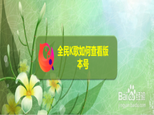 经验分享全民K歌怎么查看版本号。