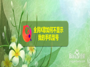 经验分享全民K歌怎么设置不显示我的手机型号。