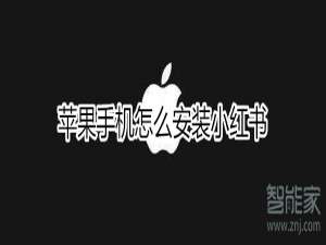 经验分享苹果手机如何安装小红书。