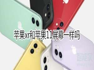 经验分享iphonexr和iphone11屏幕分别是多大。