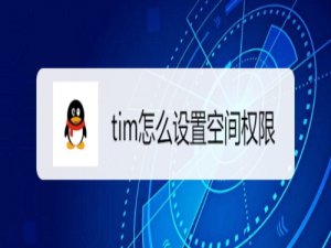 经验分享tim如何设置空间权限。
