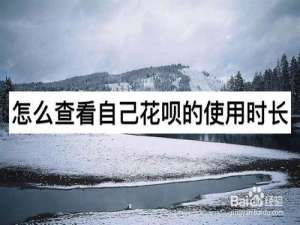 经验分享如何查看自己花呗使用时长。