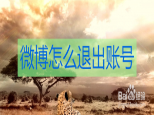 经验分享微博如何退出账号。
