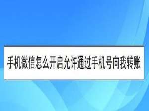 经验分享手机微信如何打开允许通过手机号向我转账。
