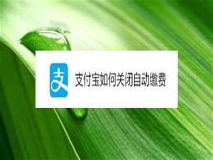 经验分享支付宝自动缴费怎么关闭。