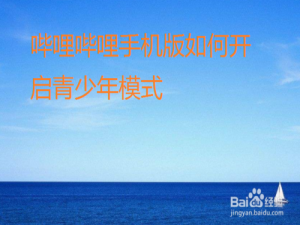 经验分享哔哩哔哩怎么打开青少年模式。