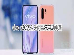 经验分享vivo x30系统自动更新在哪关闭。
