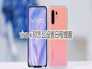 经验分享vivo x30日程提醒在哪设置。