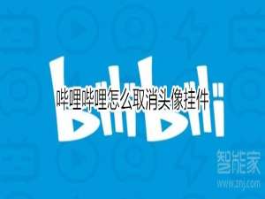 经验分享哔哩哔哩头像挂件如何取消。