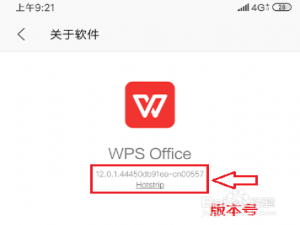 经验分享手机WPS表格怎么调单元格大小。