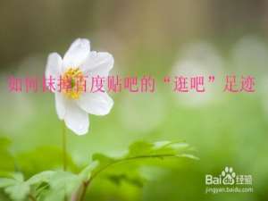经验分享百度贴吧怎么删掉浏览记录。