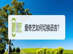 经验分享爱奇艺怎么切换语言。