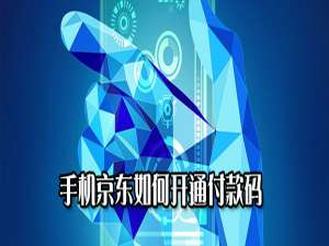 经验分享手机京东如何开通付款码。