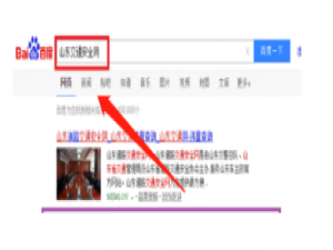 经验分享驾照扣分记录在哪查。