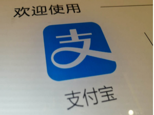 经验分享支付宝2019年度账单入口在哪。