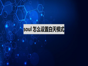 经验分享soul如何设置白天模式。