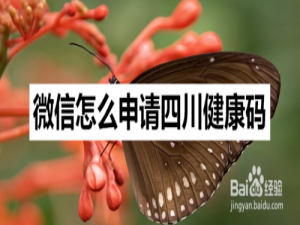 经验分享微信在哪申请健康码。