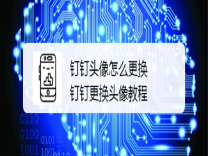 经验分享钉钉头像在哪换。