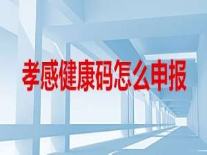 经验分享孝感健康码怎么领。